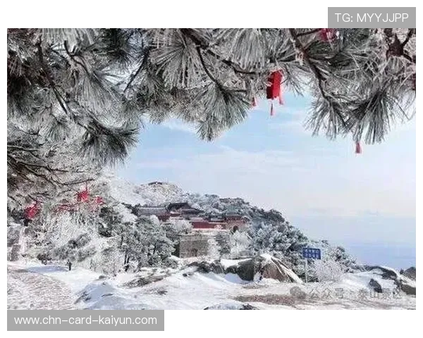 山东泰山一记斜塞刺入禁区深处,险些得手
