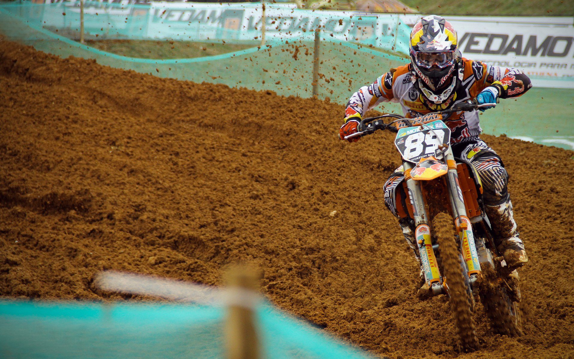 “重阳登高节耐力赛” 老少同登一座山